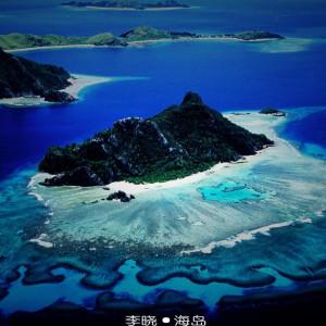 救援受困的火鸡