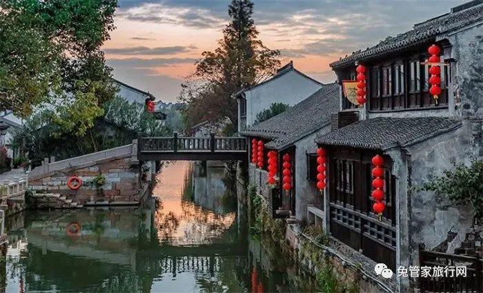 白孔雀救援